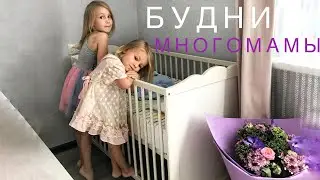 БУДНИ МНОГОМАМЫ 3.0