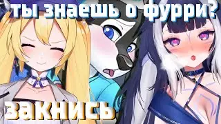 ЛИЛИ ПОЯСНЯЕТ ДОКИ ЗА ФУРРЕЙ... [ Shylily | DokiBird | Vtuber | hololive | en | ru ]