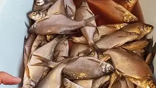 Рыбные консервы из карася в белорусском автоклаве.