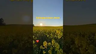 Красивая Беларусь 💛
