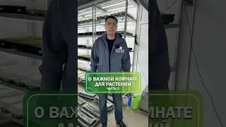 Продолжаем знакомиться с адаптационной комнатой🌿 