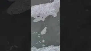 Micro-bubble Oxygenation Test Indian River Lagoon