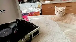 Волшебный чемоданчик