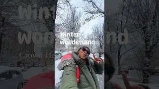 New York City finally got our winter wonderland | Brooklyn, New York #newyorkcity #snow