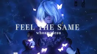 whoamidesu - Feel The Same