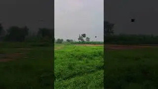 nature #nature #arabic #shortsviral #shorts #trending #viralvideos #love #subhanallahforeverything