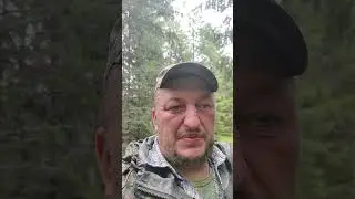 за грибами нужно ходить в дождь