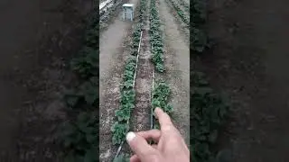 24 марта 2021 г.