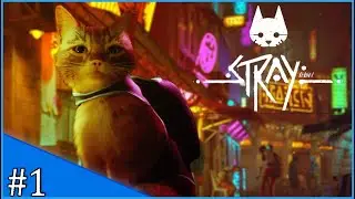 STRAY | CAT, I'm a kitty cat! | #1 [Gameplay] [No Commentary]