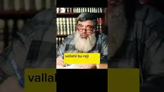laiklik belasını kaldırmalıyız !!! (Timurtaş hoca) #islam #dinivideolar #shorts