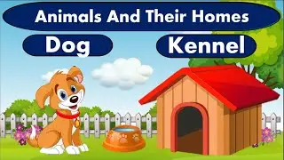 Animals and their Homes with Pictures| Animals and their houses |Animals and their shelter for Kids|