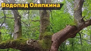 ПВД на водопад Оляпкина