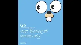 01 - Introduction to Golang