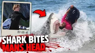 This Great White Shark BITES Tomas Butterfield ON THE HEAD!
