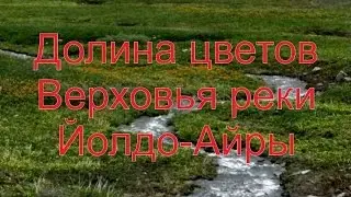 Долина цветов на Алтае в верховьях реки Йолдо-Айры