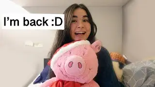I'm back! Update : Why I stopped filming / What's next / second year / Future plans