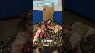 A Custom Petsie at the Perfect Time | MyPetsies©