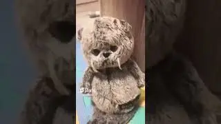 Дай конфету