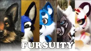 Rodzaje Fursuitów (Furry PL)
