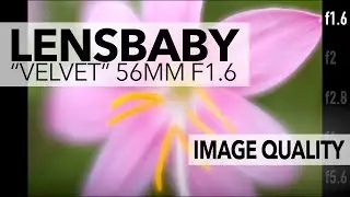 Lensbaby Velvet 56 Image Quality