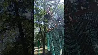 12 июня 2024 г.