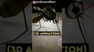 Why Mosquitoes Bite Some People More Than Others? (3D Animation) 