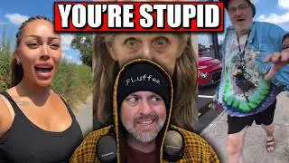 NO SHAME. NO BRAIN. 🥴 - You're Stupid! 