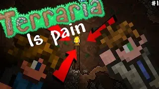 Terraria is PAIN