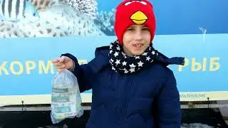 Идем в Зоомагазин за Новыми Питомцами. Каких Рыбок Купит Артем?