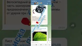Дениска 🥊 боевой борец многогранная личность