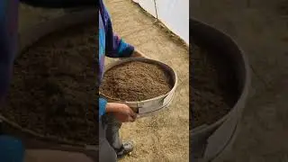 Tohum Ekimi Nasıl Yapılır