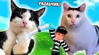 КОТЫ МЕМЫ В РОБЛОКС ! КОТ-ДОКТОР СТАВИТ МНЕ УКОЛ ! CAT MEME RP