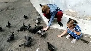 Ярослава с Ваней кормят голубей.