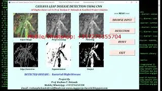 Cassava Leaf Disease Classification Using CNN | Python Project With Source Code