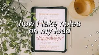 HOW I TAKE NOTES ON MY iPAD PRO 2020 || college note-taking, aesthetic colors, split screen notes