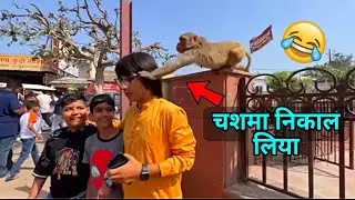@souravjvlogs bhai ki गज़्जब बेइज़्ज़ती हो गई 😂 #funny #monkey #video #viral