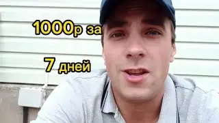 Сколько можно заработать / на Аренде Орша / Яндекс Такси