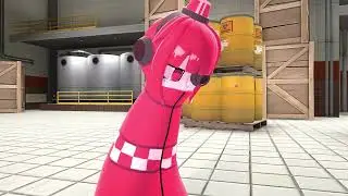The Sentry Sisters