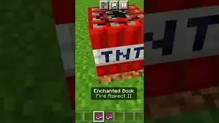 Minecraft TNT Logic 😱 