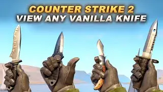 CS2 How To Play With Any Vanilla Knife