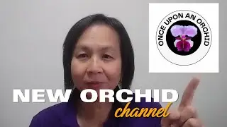 Orchid content is moving