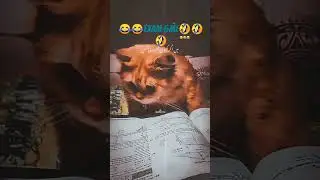 Exam ka Mossam sa student s ko Mubarak ho🤣🤣🤣🤣🤣🤣😂😂😂#