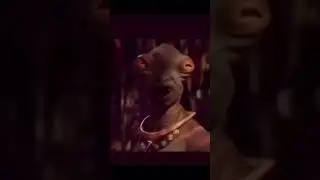 Я когда всегда 😂