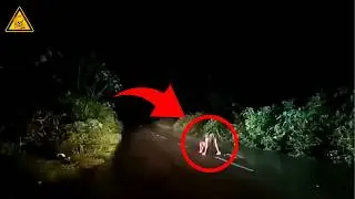 20 Terrifying Real-Life Footage Recorded on Car Cameras! #1