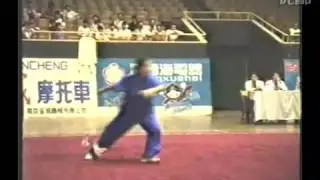 1995年全国武术套路锦标赛（传统项目）06 09