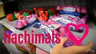 Hatchimals Hatching