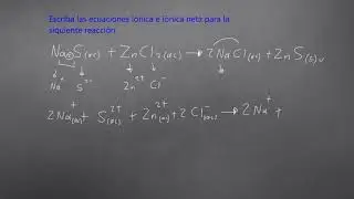 Ecuación Iónica e iónica neta