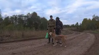 ОХОТА на ЗАЙЦА с РУССКОЙ ГОНЧЕЙ.Сезон 2022-2023.