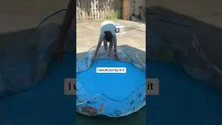 Baby Pool
