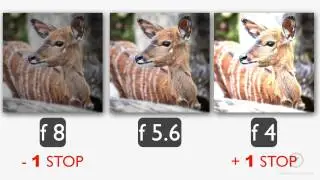 2.10 L'esposizione fotografica  - Corso Base di Fotografia Digitale